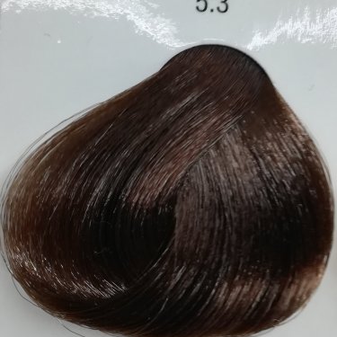 Alfaparf Evolution Краска для волос цвет 5.3 (светлый шатен золотистый), 60 мл