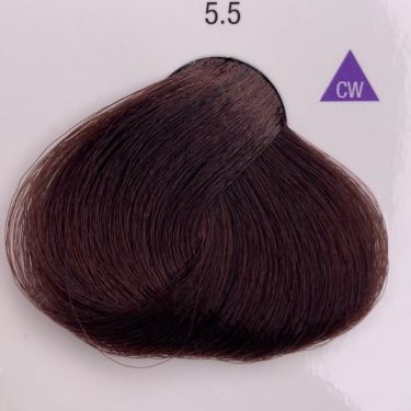 Alfaparf Evolution Краска для волос цвет 5.5 Махагоновый светлый шатен, 60 мл